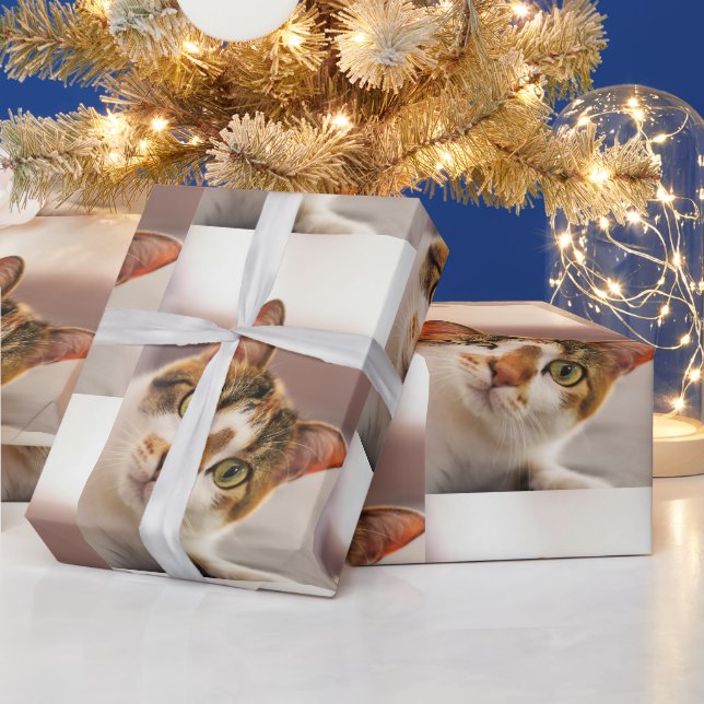 Cute Cat Animal PET Looking Up at You Geschenkpapier (Feiertage)