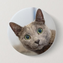 Cute cat-custom PET Foto von Button