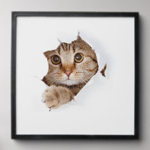 cute cat