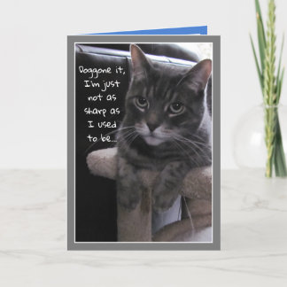 Cute Cat Funny Beldate Anniversaire Carte