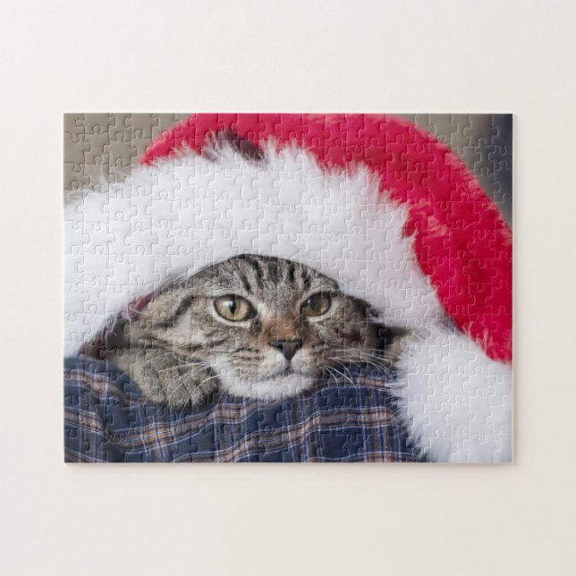 Cute cat in santa hat (Horizontal)
