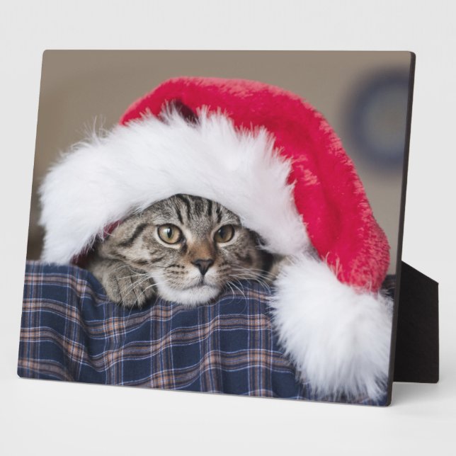 Cute cat in santa hat fotoplatte (Seite)