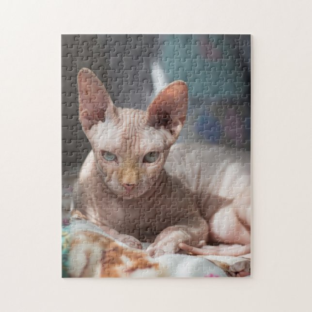 Cute Cat Lounging with No Fur (Vertikal)