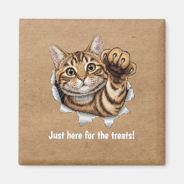 Cute Cat Magnet - Just here for the treats!