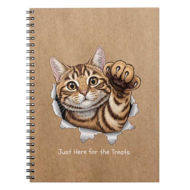 Cute Cat Notes - Spiral Photo Notebook Notizblock (Vorderseite)