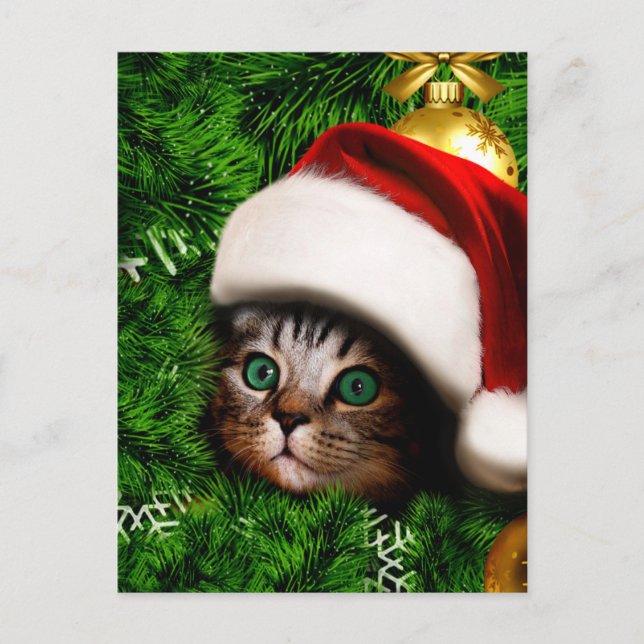 Cute Cat on Christmas tree Postkarte (Vorderseite)