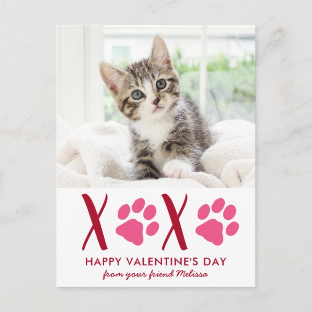 Cute Cat Pet Photo Valentines Jour de Fêtes Carte (Devant)