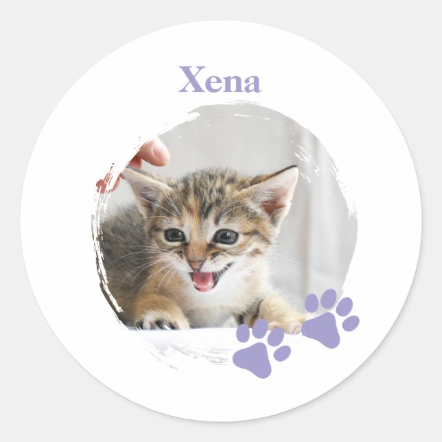 Cute Cat pet with customized name Runder Aufkleber (Vorderseite)