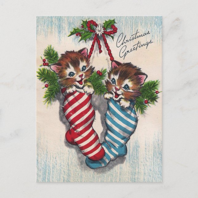 Cute Cats in Crhistmas Socks Postkarte (Vorderseite)