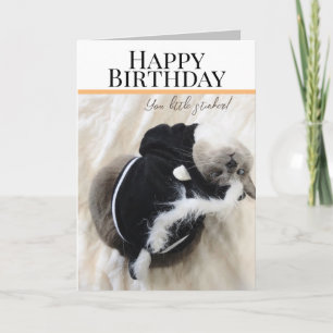 Cute Chat En Costume De Skunk Carte De Voeux Anniv