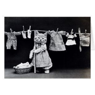 Cute Chat Faire Lave-linge en vêtements Vintage Im