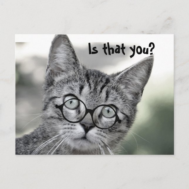 Cute Chat surpris avec lunettes Carte postale (Devant)