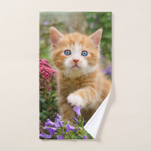 Cute chaton gingembre dans un jardin jouant avec u