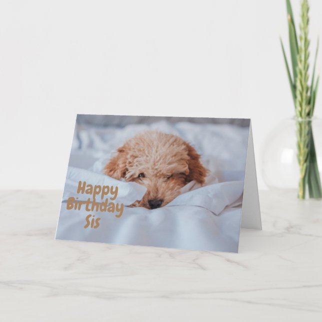CUTE CHIEN POUR LA CARTE D'ANNIVERSAIRE DE MA SOEU (Devant)