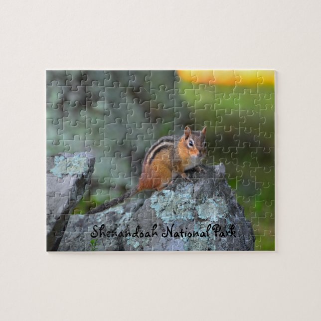Cute Chipmunk, Shenandoah National Park (Horizontal)