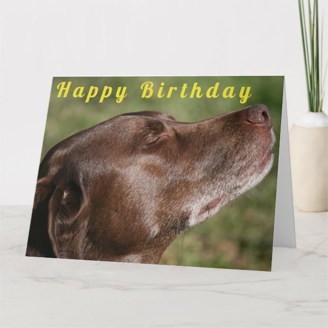 Cute Chocolate Labrador Dog - Happy Birthday Karte (Vorderseite)
