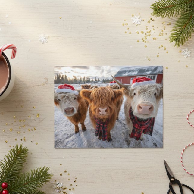 Cute Christmas Highland Cows in Snow Postkarte (Von Creator hochgeladen)