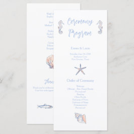 cute coastal programm