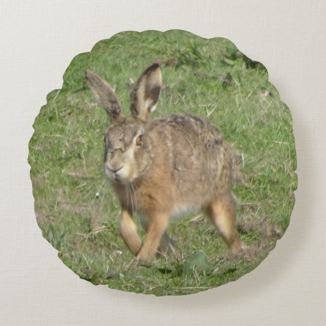 Cute coureur lièvre fermer Coussin rond (Devant)