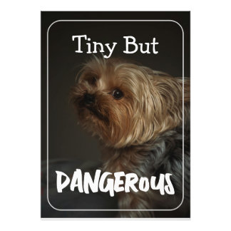 Cute Customizable Personalized Terrier Dog Mom Pet Fotodruck