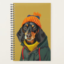 Cute Dachshund