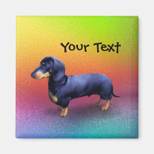 Cute Dachshund dans un aimant arc-en-ciel
