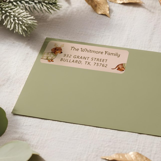 Cute Dachshund Dog Christmas Checkered Sweater (Cute Dachshund Dog Christmas Checkered Sweater Label)