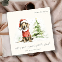 Cute Dachshund Dog Furry and Bright Christmas