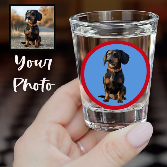 Cute Dachshund or Your Pet Face Photo on Blue Red  Schnapsglas (Von Creator hochgeladen)