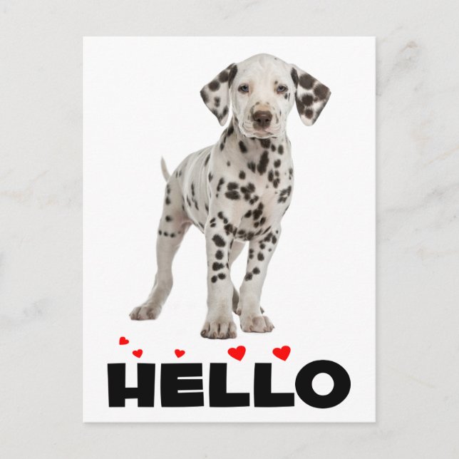 Cute Dalmatian Puppy Dog Hello Thinking of You Postkarte (Vorderseite)