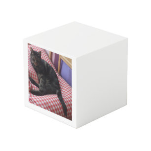 Cute Dave Carré Photo Cube