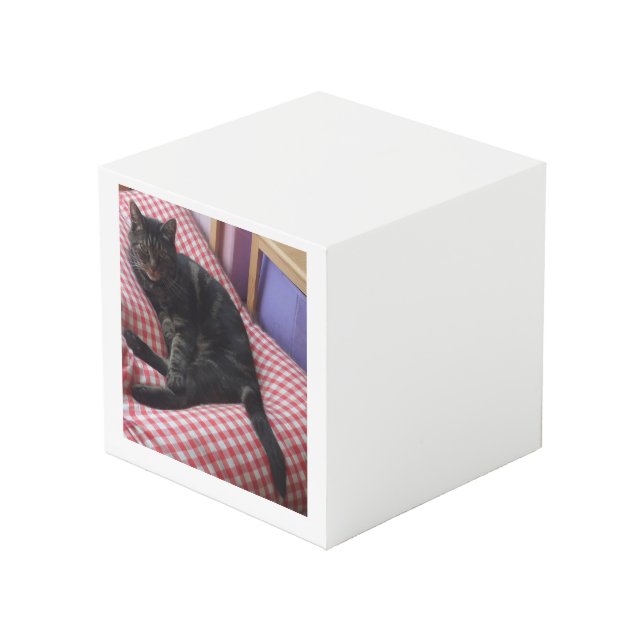 Cute Dave Carré Photo Cube (Angle devant)