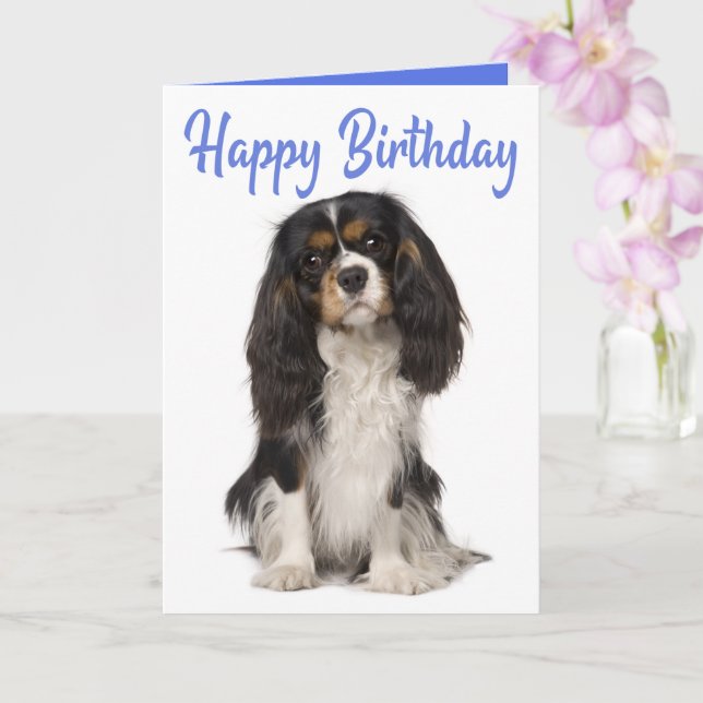 Cute Dog King Charles Cavalier Spaniel Birthday Karte (Orchidee)