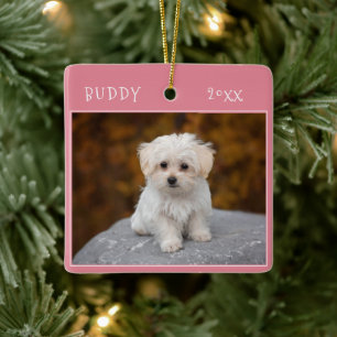 Cute Dog Pet 2 Christmas Fotos Keramikornament