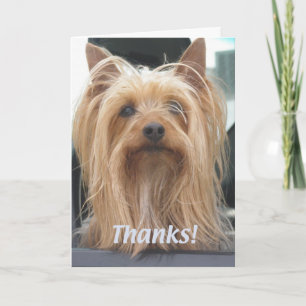 Cute Doggie Carte de remerciements