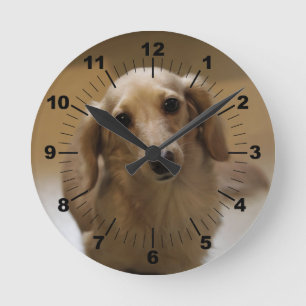 Cute doggy runde wanduhr