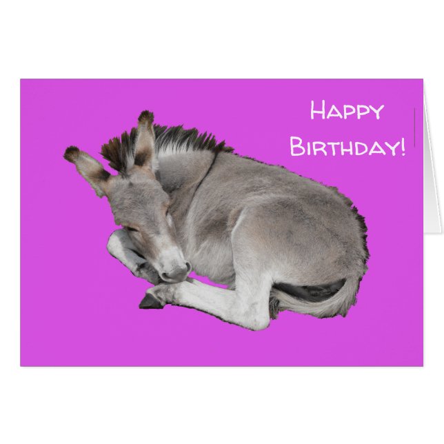 Cute Donkey on Purple (Vorderseite (Horizontal))