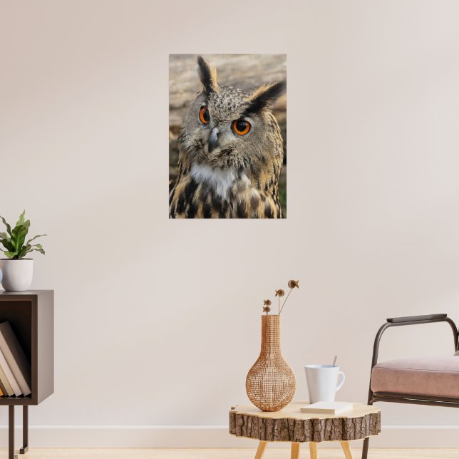 Cute eagle owl poster (Wohnzimmer 3)