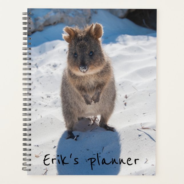 Cute et heureuse Quokka sur la plage en Australie (Devant)