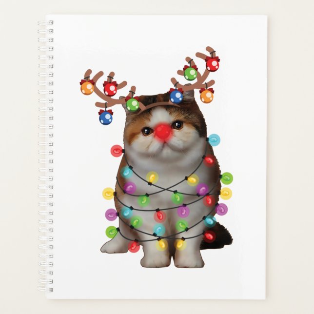 Cute Exotic Shorthair Chat Funny Noël cadeau de va (Devant)