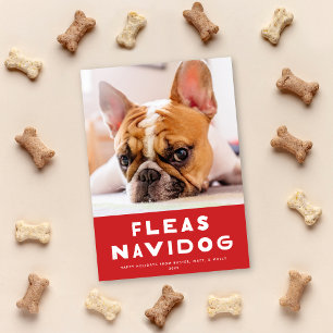 Cute Fleas Navidog chien animal de compagnie Carte