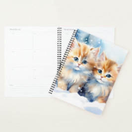 Cute Fluffy Kittens