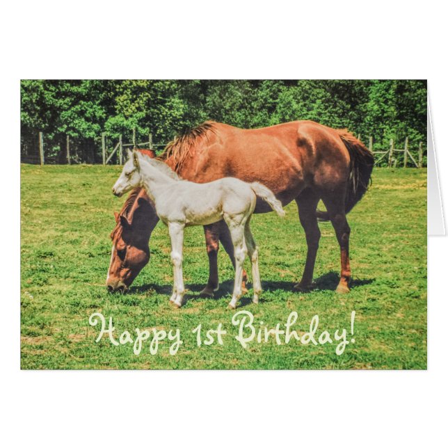 Cute Foal Cheval Animaux Personnalisé Joyeux 1er A (Devant horizontal)