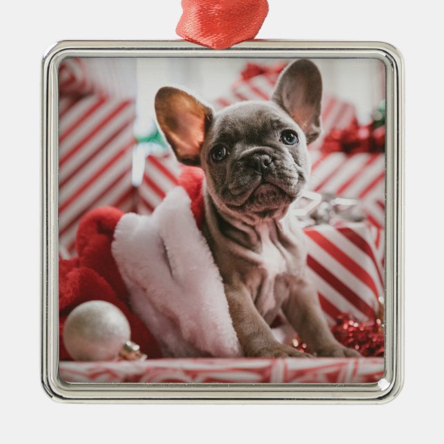 Cute French Bulldog Christmas Ornament (Vorne)