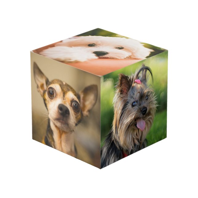 Cute & Funny Dogs (et / ou VOS photos) cube (Angle devant)
