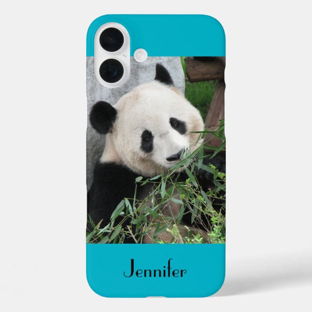 Cute Giant Panda, Blue Background, Name iPhone 16 Plus Hülle (Rückseite)