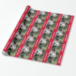 Cute Giant Panda Merry Christmas Wrapping Paper Geschenkpapier<br><div class="desc">This colorful wrapping paper, using my original fotograph of a cute giant panda bear is a one way to wrap Christmas ohrts. Foto von was taken in China. Great for people who love pandas! The bright red borders are very festive. Text says "Merry Christmas!" but you can easily modify it...</div>