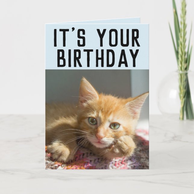 CUTE GINGER CAT KITTEN CARTES D'ANNIVERSAIRE (Devant)