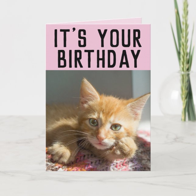 CUTE GINGER CAT KITTEN FILLES CARTES D'ANNIVERSAIR (Devant)