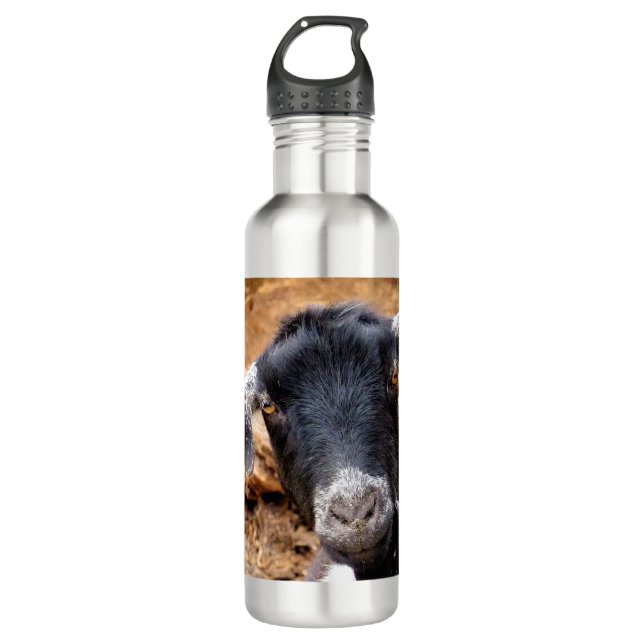 CUTE GOAT EDELSTAHLFLASCHE (Vorderseite)